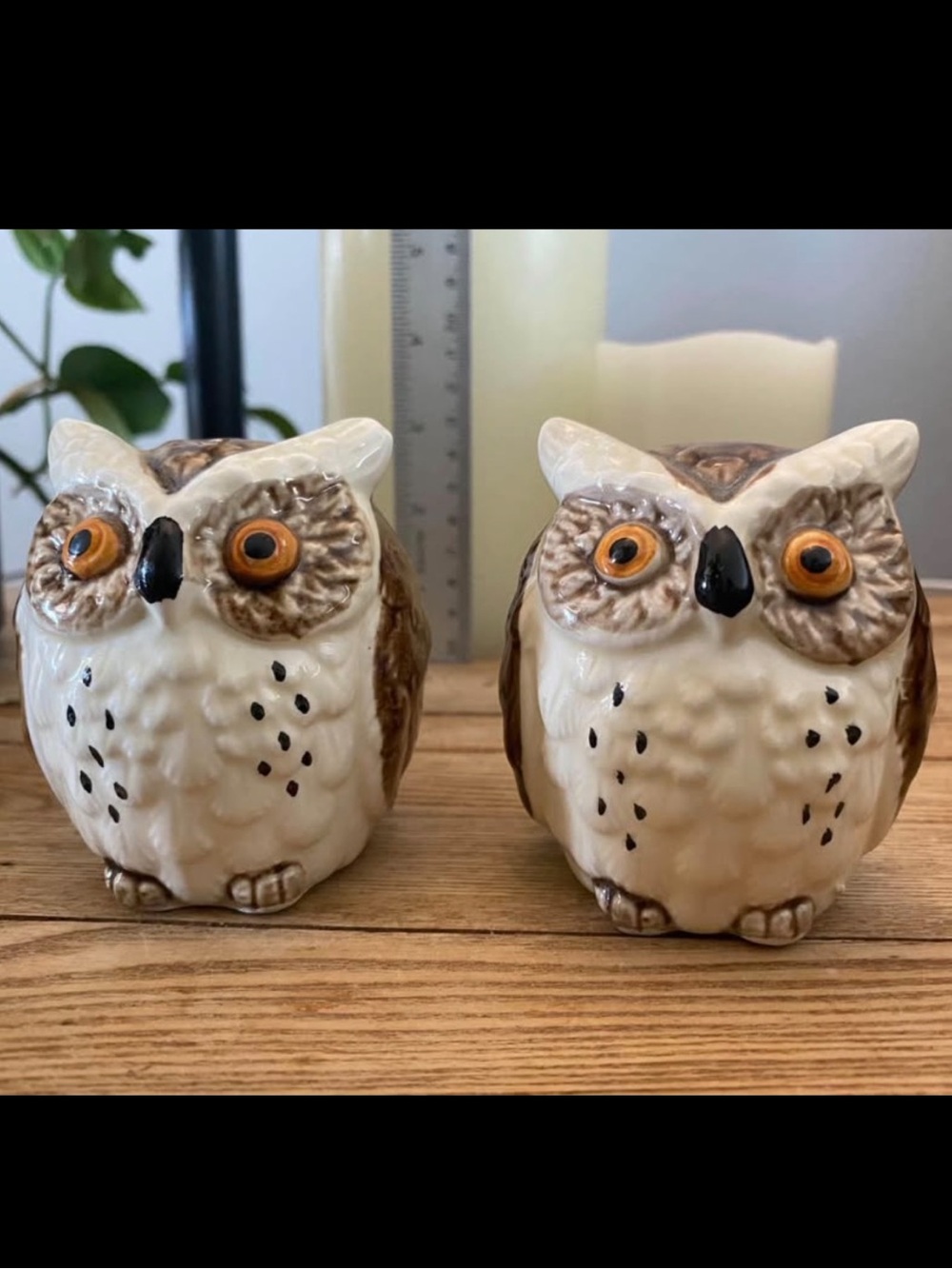Set of 2 Vintage Ceramic Owl Salt and Pepper Shakers - Cream and Brown